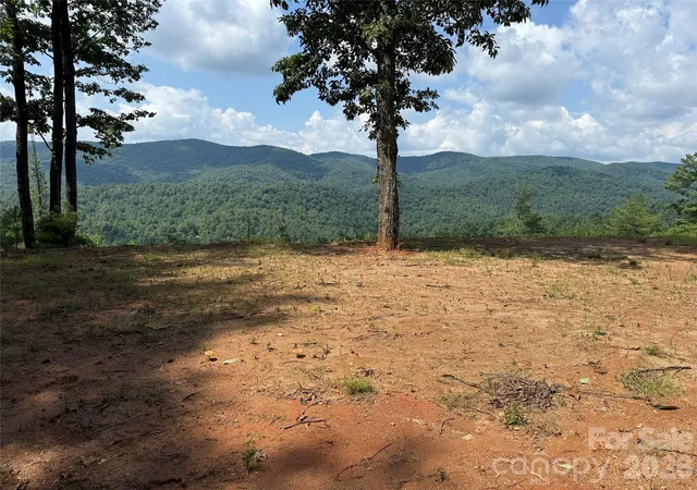 Homes for sale in Purlear, NC | Tbd Lazy Bear Ln, Purlear, NC 28665 | MLS# 4288596