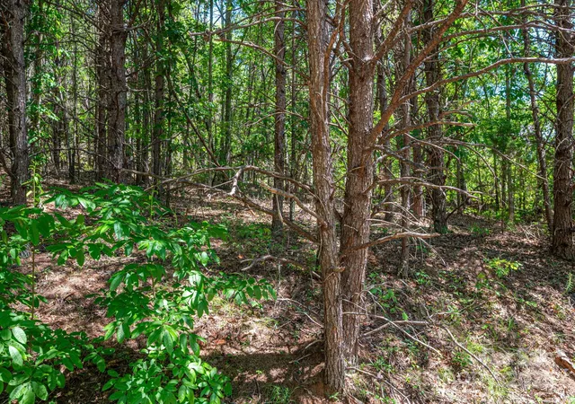 Homes for sale in Rutherfordton, NC | Lot 12 Meadow Crossing Dr, Rutherfordton, NC 28139 | MLS# 4288637