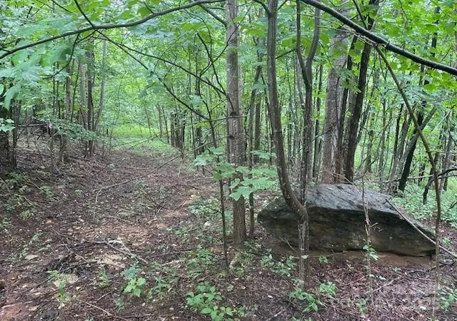 4th image of 00 Cherry Hill St, Mill Spring, NC 28756 | MLS# 4288670
