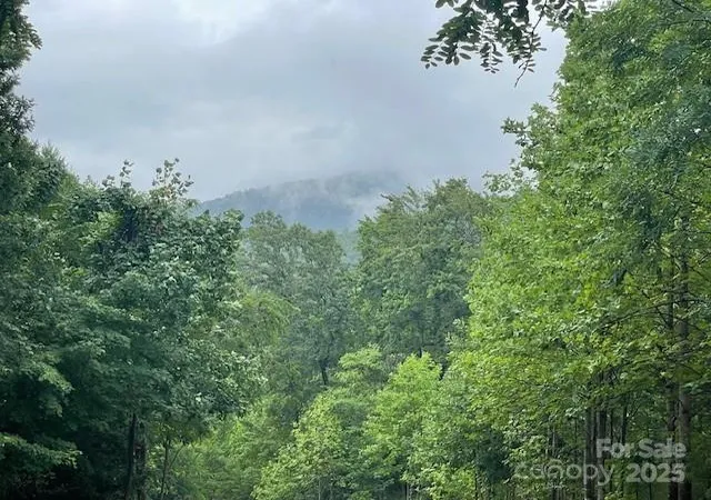 5th image of 00 Cherry Hill St, Mill Spring, NC 28756 | MLS# 4288670