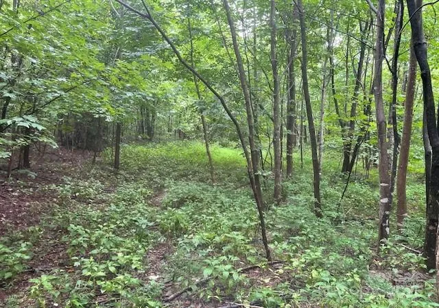 8th image of 00 Cherry Hill St, Mill Spring, NC 28756 | MLS# 4288670