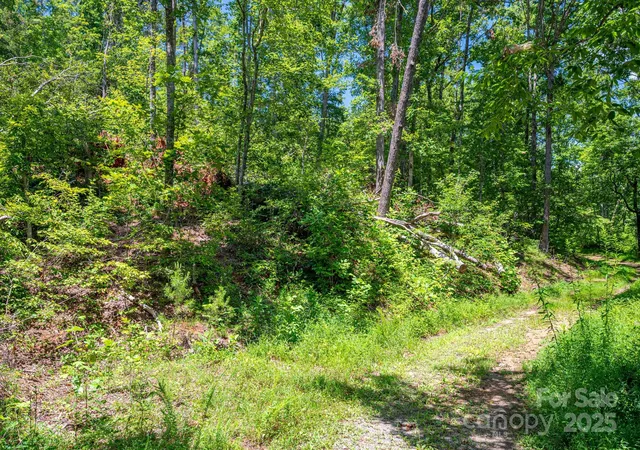 1st image of Lot 221 Plantation Dr, Rutherfordton, NC 28139 | MLS# 4288731