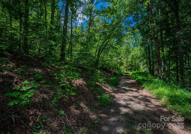 2nd image of Lot 221 Plantation Dr, Rutherfordton, NC 28139 | MLS# 4288731