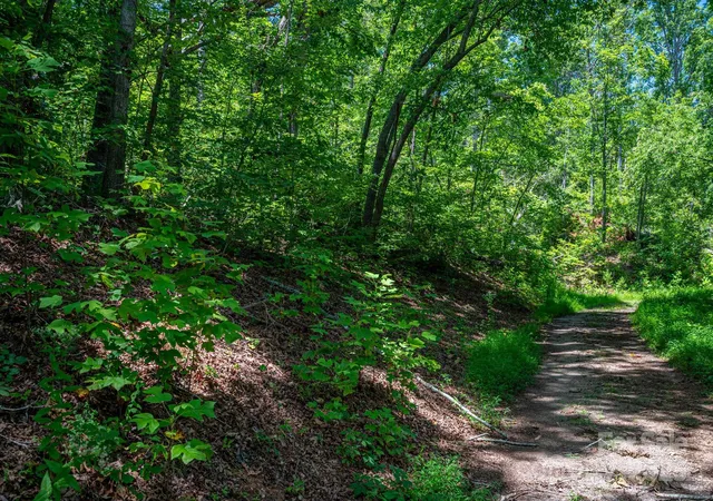 3rd image of Lot 221 Plantation Dr, Rutherfordton, NC 28139 | MLS# 4288731