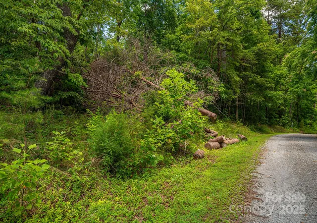 Photo 1 of Land for sale at Lot 208 Plantation Dr, Rutherfordton, NC 28139 | MLS# 4288892 | Listing updated on 2026-09-21