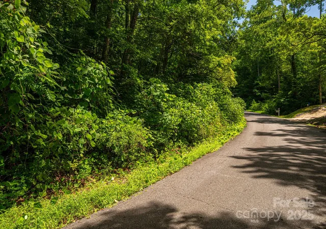 2nd image of Lot 164 Plantation Dr, Rutherfordton, NC 28139 | MLS# 4288899