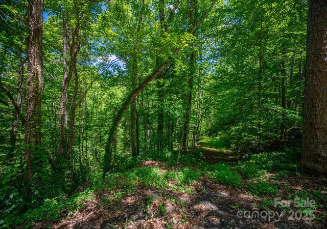 2nd image of Lot Plantation Dr, Rutherfordton, NC 28139 | MLS# 4288942