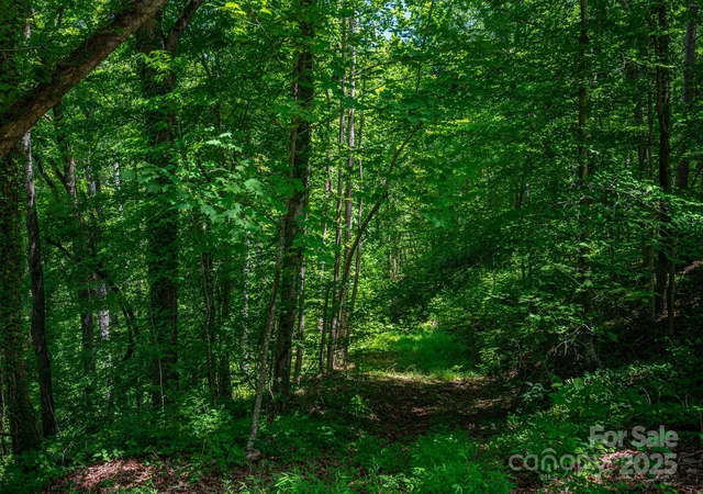 5th image of Lot Plantation Dr, Rutherfordton, NC 28139 | MLS# 4288942