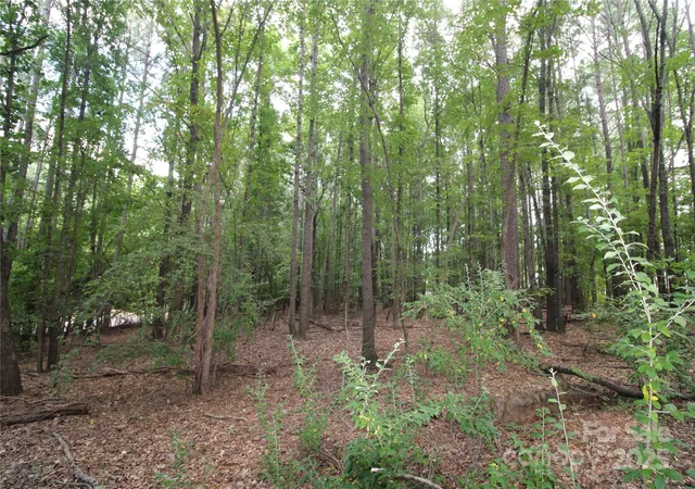 3rd image of Lot 1 Lake Wylie Dr, Rock Hill, SC 29732 | MLS# 4289292