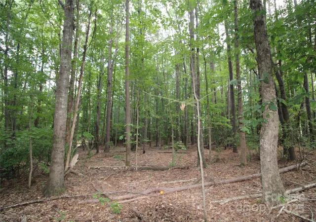 4th image of Lot 1 Lake Wylie Dr, Rock Hill, SC 29732 | MLS# 4289292
