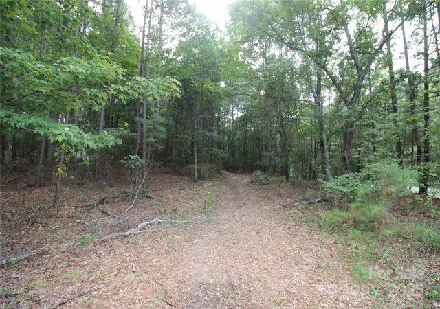 2nd image of Lot 6 Lake Wylie Dr, Rock Hill, SC 29732 | MLS# 4289297