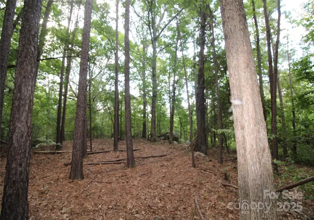 4th image of Lot 6 Lake Wylie Dr, Rock Hill, SC 29732 | MLS# 4289297