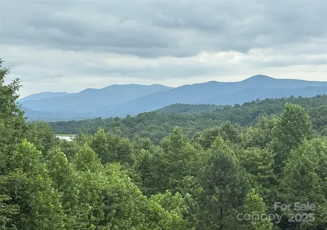 3rd image of 166 Coal Pit Mountain Dr #359, Nebo, NC 28761 | MLS# 4289434