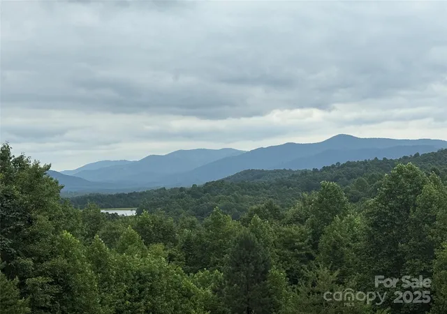 4th image of 166 Coal Pit Mountain Dr #359, Nebo, NC 28761 | MLS# 4289434