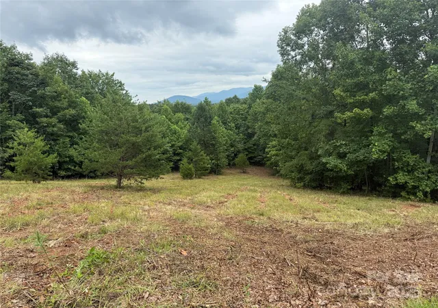5th image of 166 Coal Pit Mountain Dr #359, Nebo, NC 28761 | MLS# 4289434