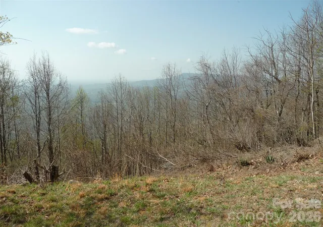 48th image of 3605 Skyuka Mountain Rd, Columbus, NC 28722 | MLS# 4289447