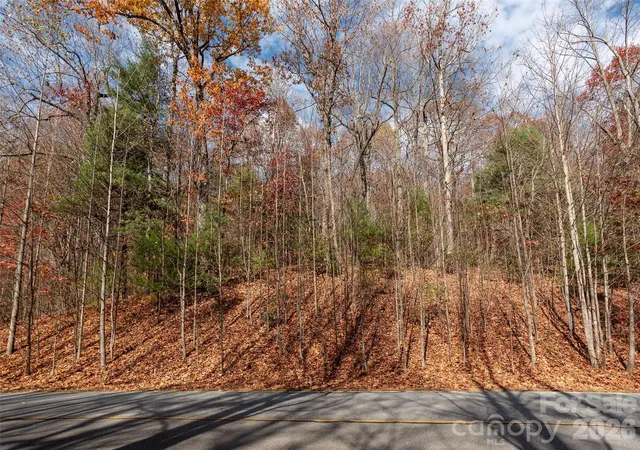 Homes for sale in Flat Rock, NC | 128 Pinnacle Peak Ln, Flat Rock, NC 28731 | MLS# 4289587