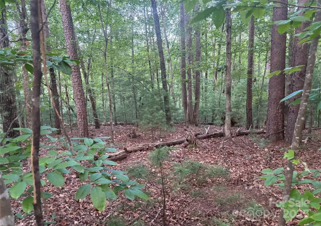 5th image of Lots 11/12 South Pointe Rd, Mill Spring, NC 28756 | MLS# 4289678