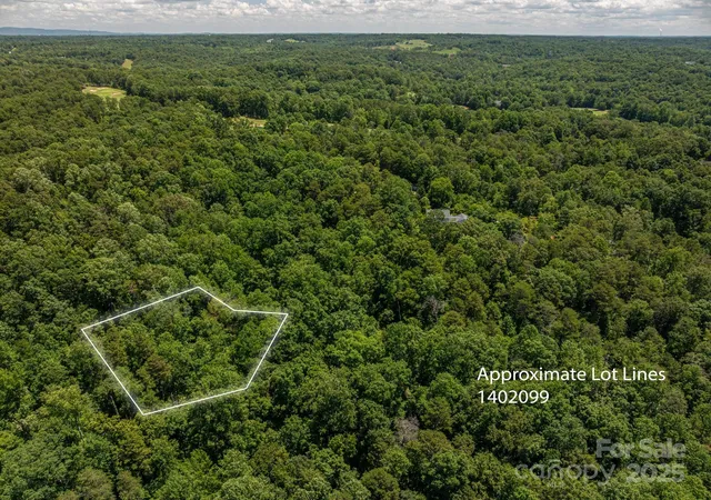 Photo 3 of Land for sale at Lot 169 Coxe Rd, Rutherfordton, NC 28139 | MLS# 4290178 | Listing updated on 2026-09-21