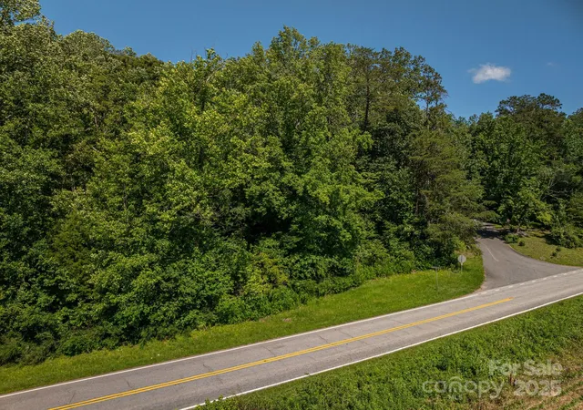 1st image of Lot 160 Coxe Rd, Rutherfordton, NC 28139 | MLS# 4290184