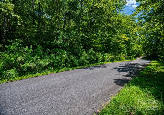 2nd image of Lot 160 Coxe Rd, Rutherfordton, NC 28139 | MLS# 4290184