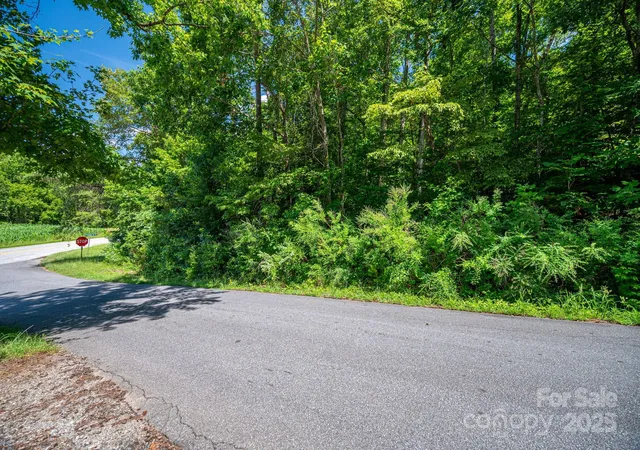 5th image of Lot 160 Coxe Rd, Rutherfordton, NC 28139 | MLS# 4290184