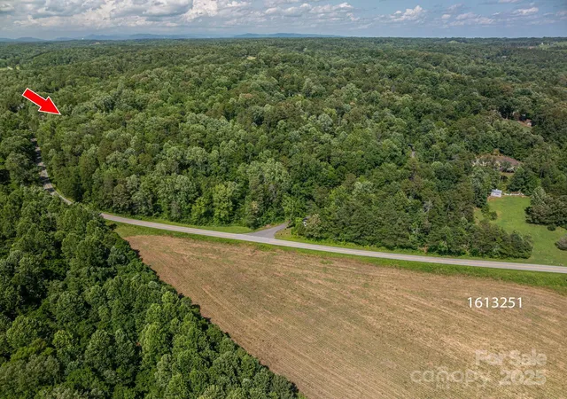 Photo 3 of Land for sale at Lot 163 Coxe Rd, Rutherfordton, NC 28139 | MLS# 4290295 | Listing updated on 2026-09-21
