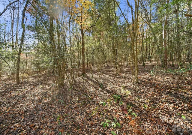 2nd image of Vl Indian Grave Rd, Lenoir, NC 28645 | MLS# 4290701