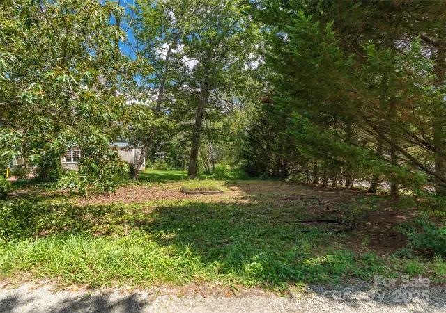 3rd image of 99999 Blake St, Asheville, NC 28801 | MLS# 4290877