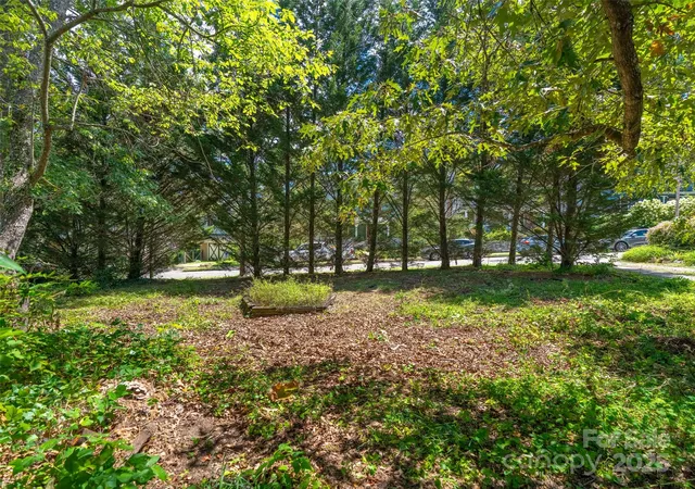 5th image of 99999 Blake St, Asheville, NC 28801 | MLS# 4290877