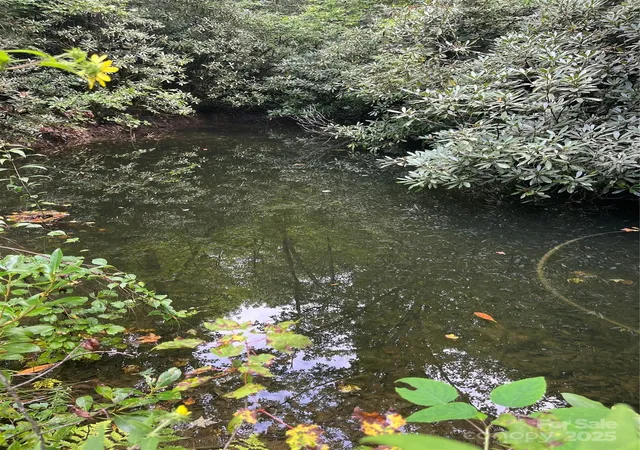 Photo 5 of Land for sale at Tbd Normcol Rd, Pisgah Forest, NC 28768 | MLS# 4291355 | Listing updated on 2026-08-12