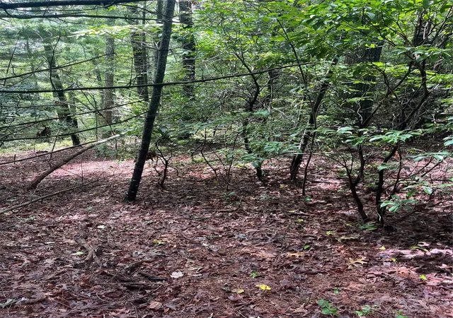 Photo 10 of Land for sale at Tbd Normcol Rd, Pisgah Forest, NC 28768 | MLS# 4291355 | Listing updated on 2026-08-12