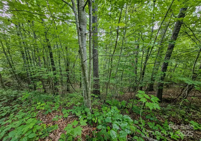 Photo 4 of Land for sale at Tbd Rumbling Bald Rd #15, Lake Lure, NC 28746 | MLS# 4291480 | Listing updated on 2026-07-24