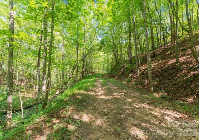 3rd image of 80 Breezewood Dr, Franklin, NC 28734 | MLS# 4292182