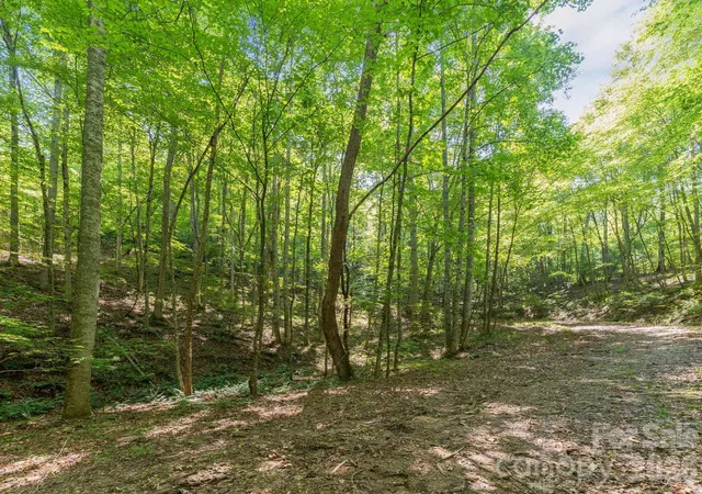 4th image of 80 Breezewood Dr, Franklin, NC 28734 | MLS# 4292182