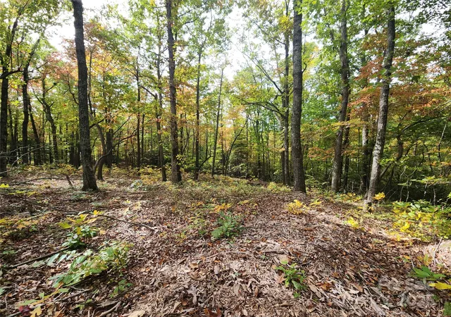 Photo 2 of Land for sale at 99999 N Pointe Dr #2, Zirconia, NC 28790 | MLS# 4292438 | Listing updated on 2026-08-18