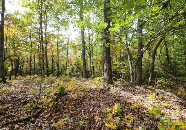Photo 3 of Land for sale at 99999 N Pointe Dr #2, Zirconia, NC 28790 | MLS# 4292438 | Listing updated on 2026-08-18