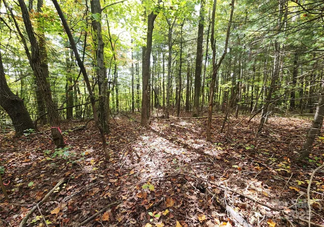 3rd image of 99999 N Pointe Dr #5 and 30, Zirconia, NC 28790 | MLS# 4292450