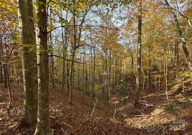 5th image of Tbd Winklers Way Rd, Lenoir, NC 28645 | MLS# 4292613