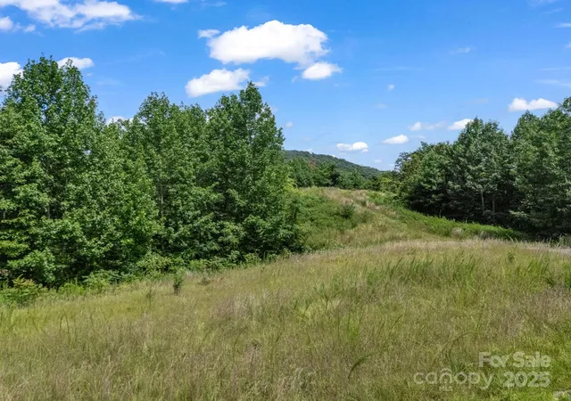 5th image of 000 Climbing Rd, Hendersonville, NC 28792 | MLS# 4292847