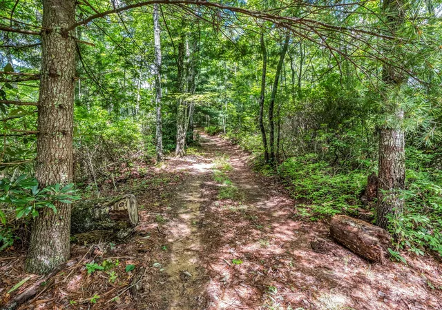 Photo 2 of Land for sale at Tbd Frozen Creek Rd, Brevard, NC 28712 | MLS# 4293359 | Listing updated on 2026-07-27