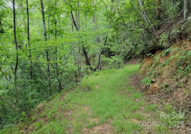 Photo 30 of Land for sale at Tbd Frozen Creek Rd, Brevard, NC 28712 | MLS# 4293359 | Listing updated on 2026-07-27