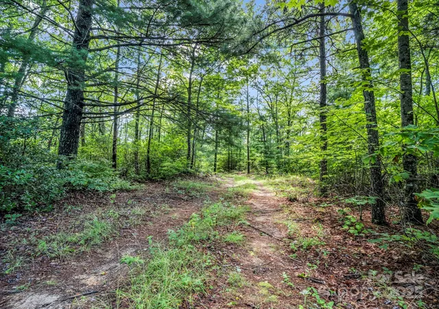 Photo 3 of Land for sale at Tbd Frozen Creek Rd, Brevard, NC 28712 | MLS# 4293359 | Listing updated on 2026-07-27