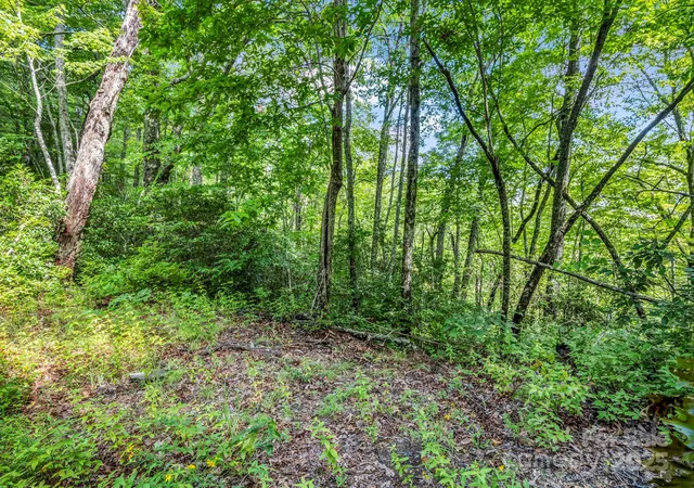 Photo 4 of Land for sale at Tbd Frozen Creek Rd, Brevard, NC 28712 | MLS# 4293359 | Listing updated on 2026-07-27