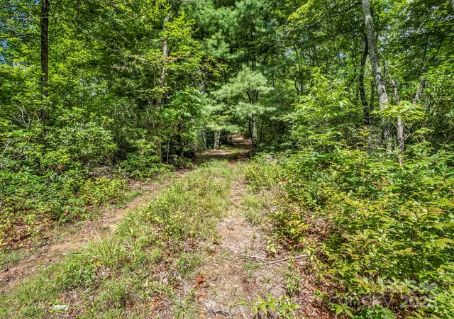 Photo 5 of Land for sale at Tbd Frozen Creek Rd, Brevard, NC 28712 | MLS# 4293359 | Listing updated on 2026-07-27