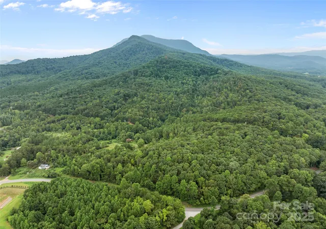 Photo 4 of Sale Pending at 823 Silver Creek Rd, Mill Spring, NC 28756 | MLS# 4293994 | Listing updated on 2026-10-20
