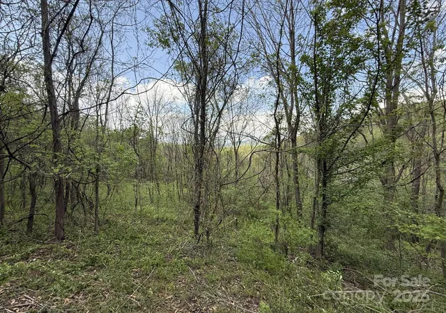 3rd image of 284 Northridge Dr, Canton, NC 28716 | MLS# 4294178