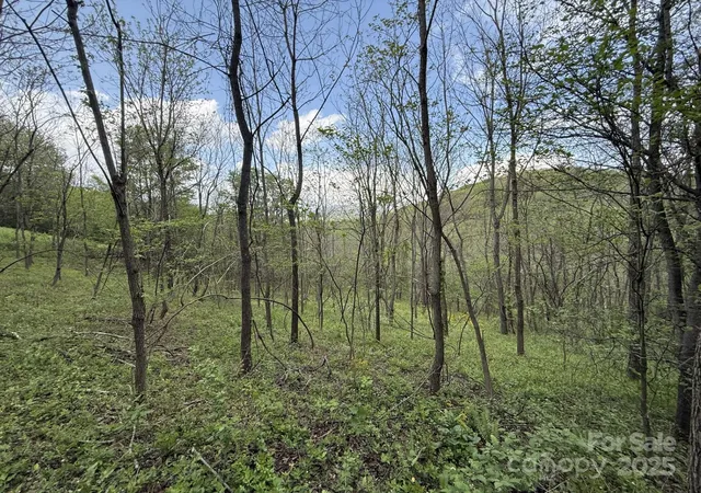 4th image of 284 Northridge Dr, Canton, NC 28716 | MLS# 4294178