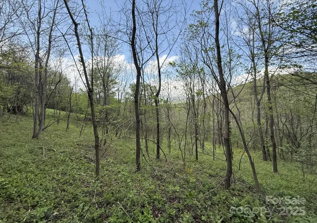 5th image of 284 Northridge Dr, Canton, NC 28716 | MLS# 4294178