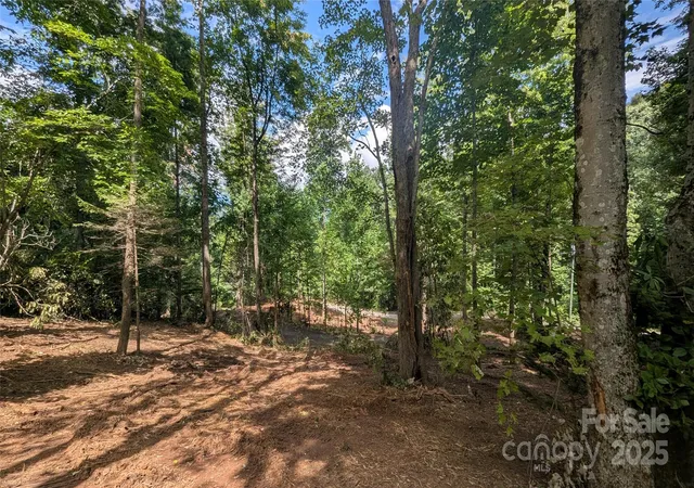 Photo 1 of Land for sale at 707 Apple Tree Ct #32, Waynesville, NC 28786 | MLS# 4294363 | Listing updated on 2026-07-30